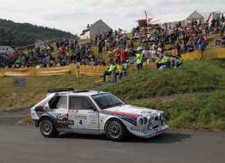 Daun platzt aus allen Nähten